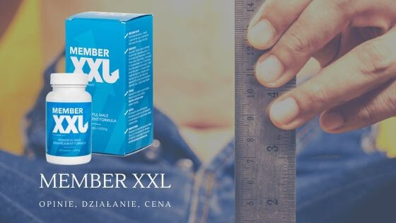 ¿Dónde comprar el Member XXL?